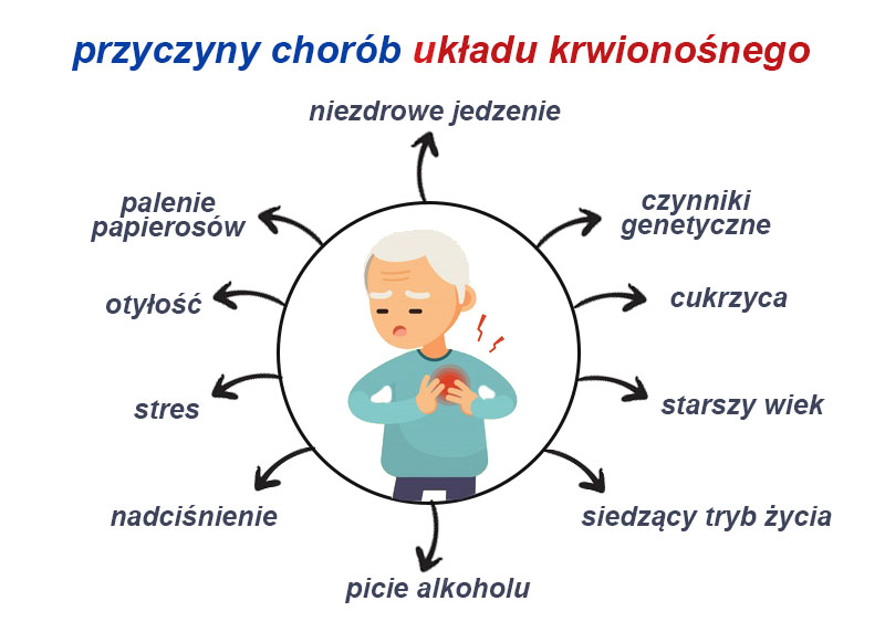 Choroby I Higiena Układu Krwionośnego ćwiczenia Jak dbać o układ krwionośny– w 4 punktach